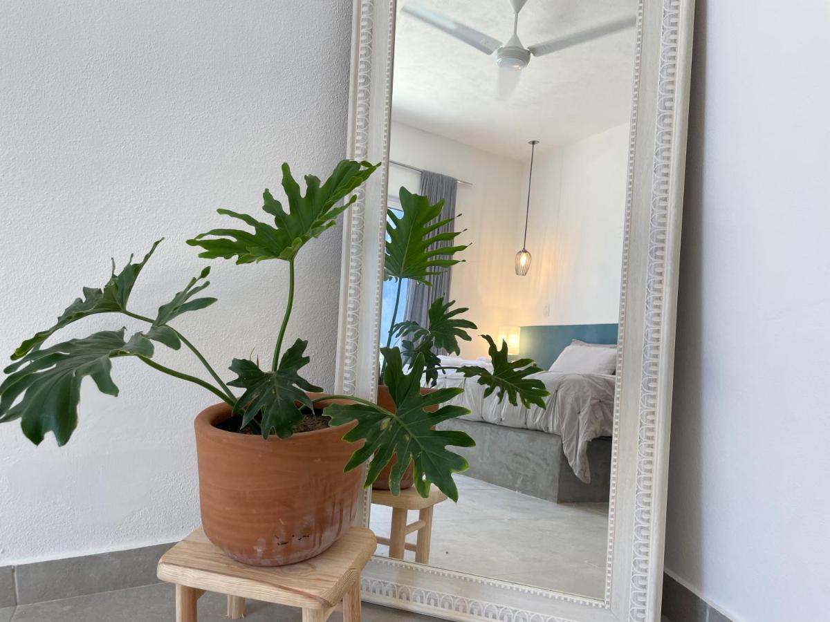 La Ventana Hostel المظهر الخارجي الصورة